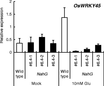 Fig 6