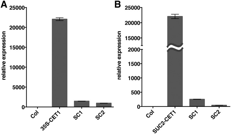 Figure 5.