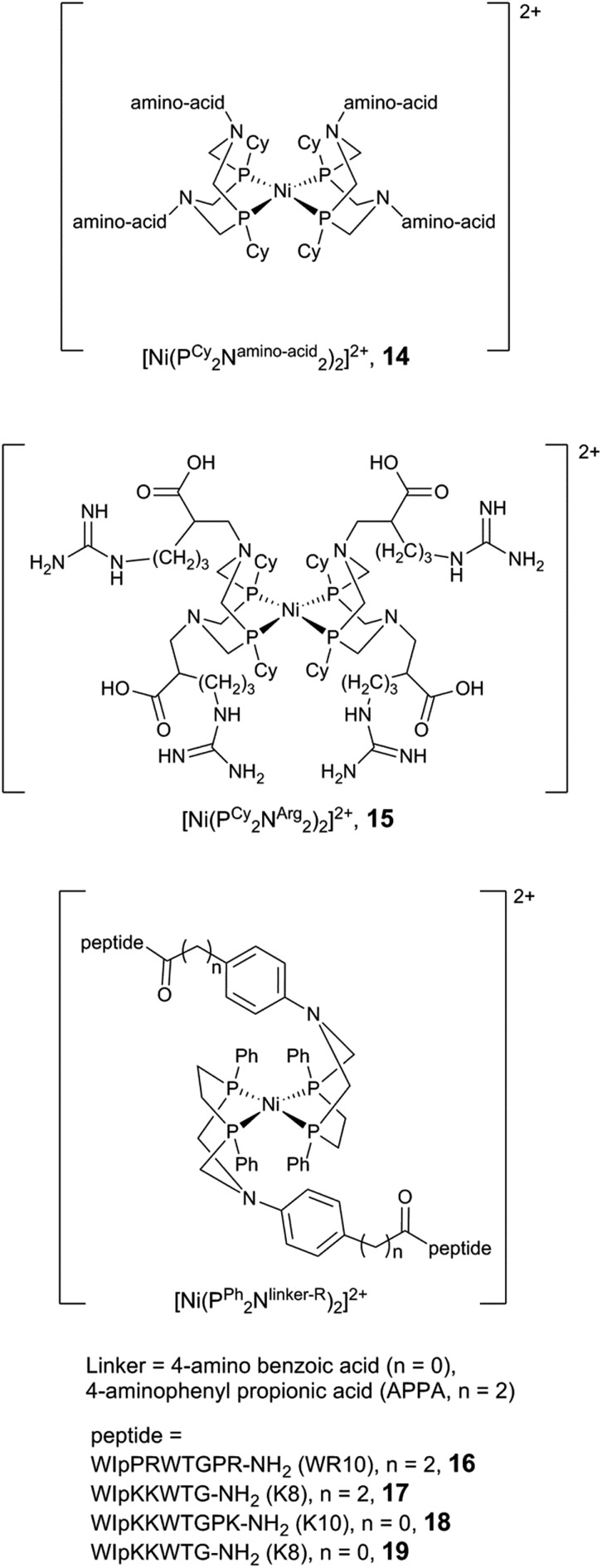 Fig. 13