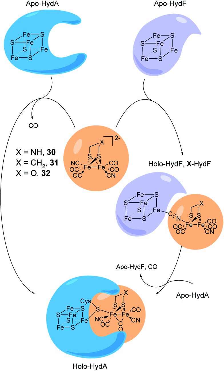 Fig. 17