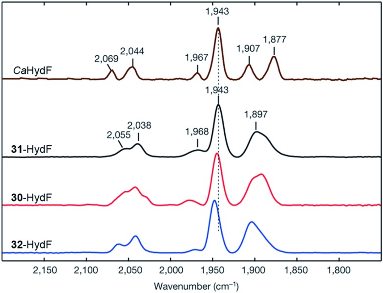 Fig. 21