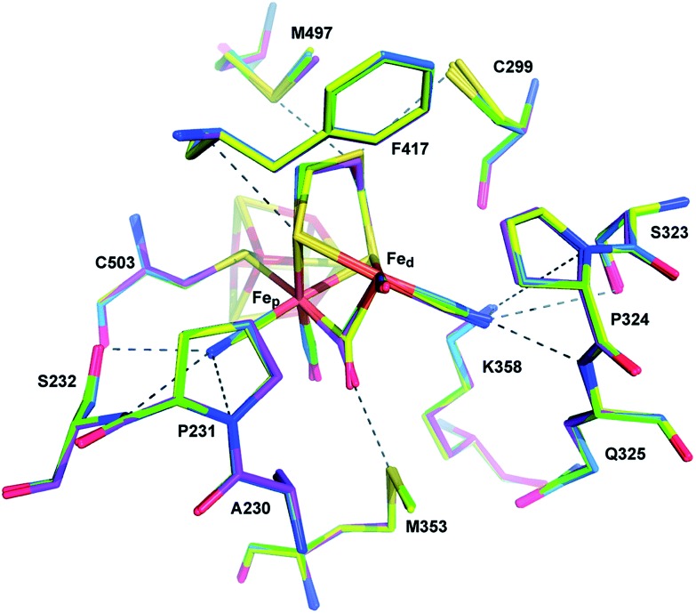 Fig. 20