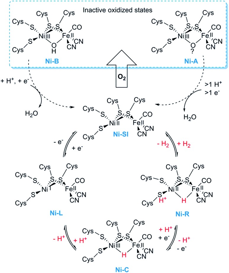 Fig. 2