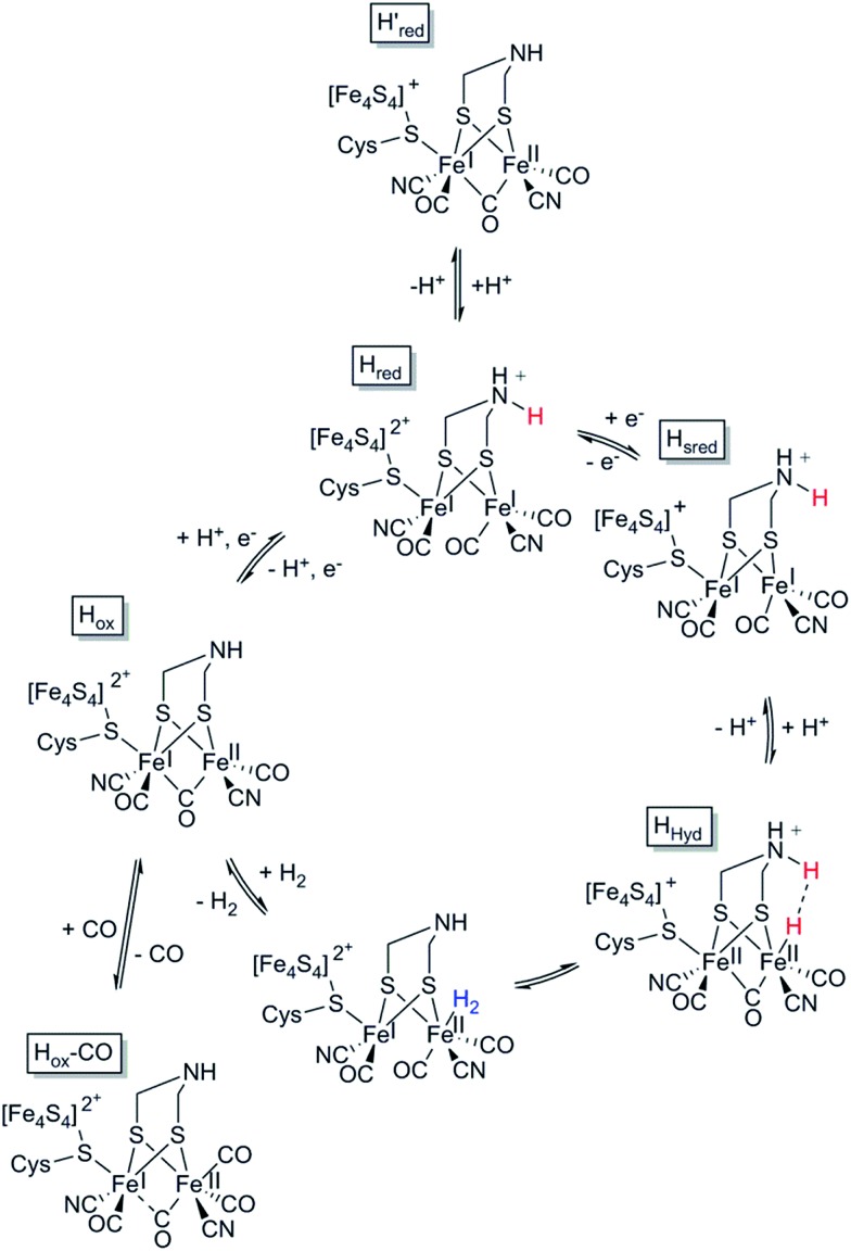 Fig. 3