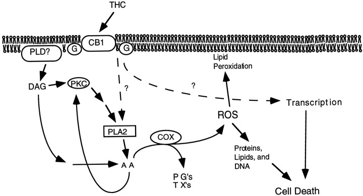 Fig. 9.