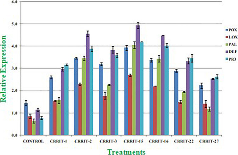 FIGURE 5