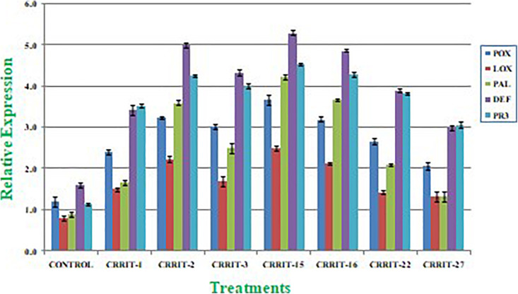 FIGURE 4