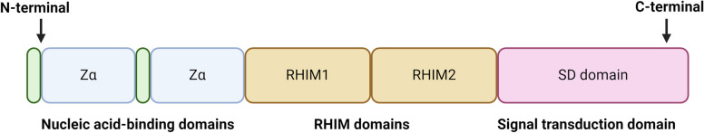 Fig. 2