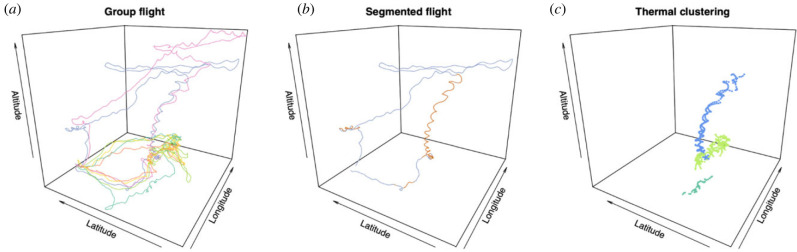 Figure 2. 