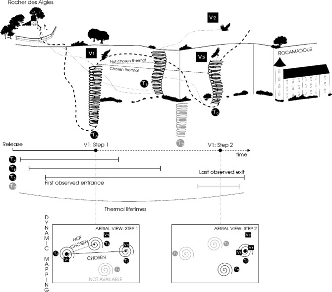 Figure 3. 