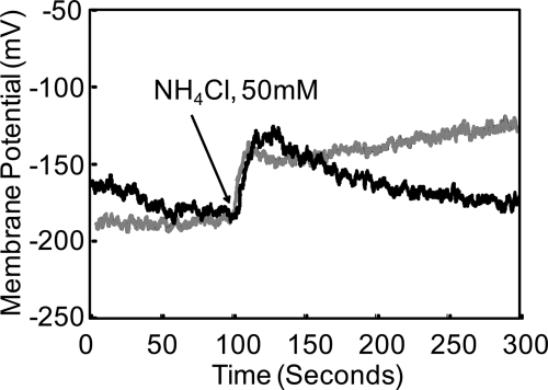 FIG. 5.