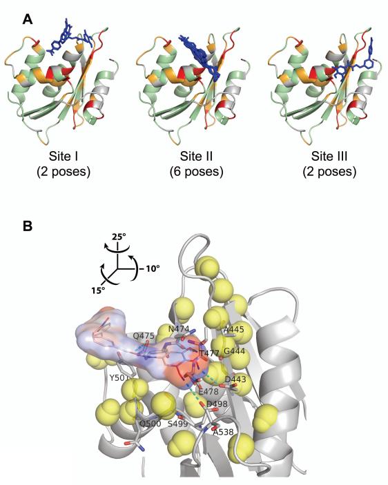 Figure 5