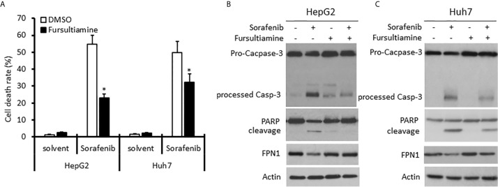 Figure 7