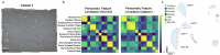 Extended Data Fig. 7