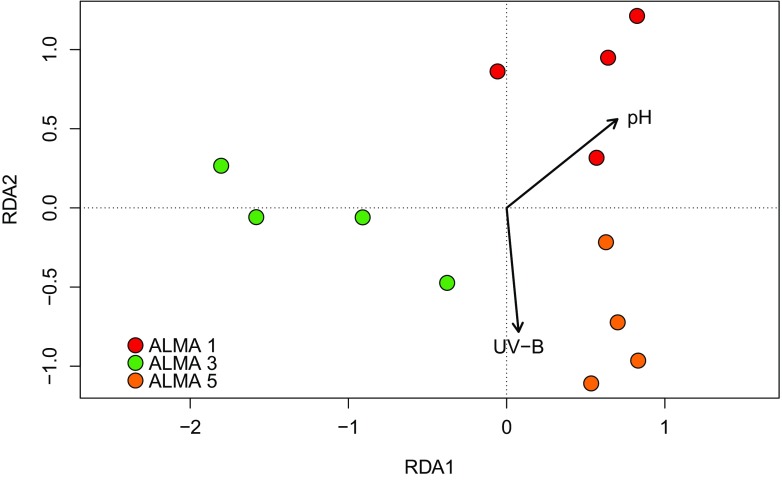 Fig. 6