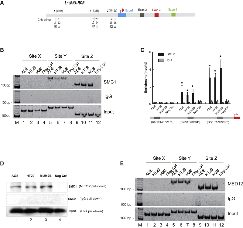 Figure 2