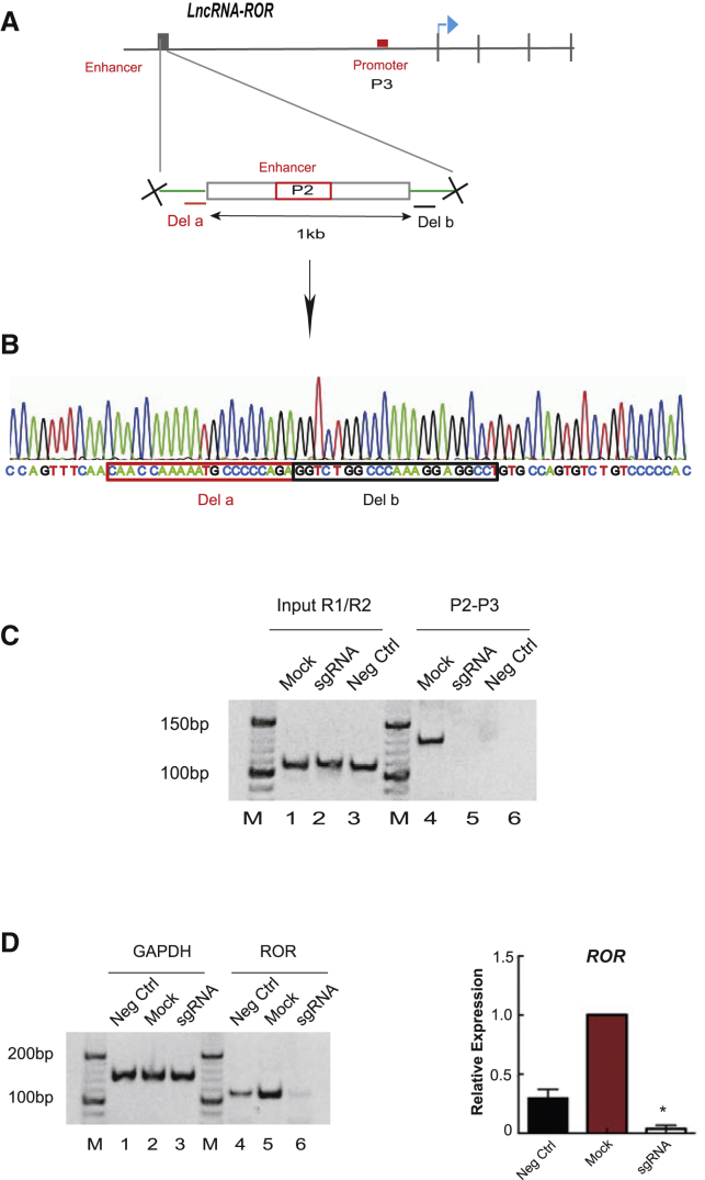 Figure 4