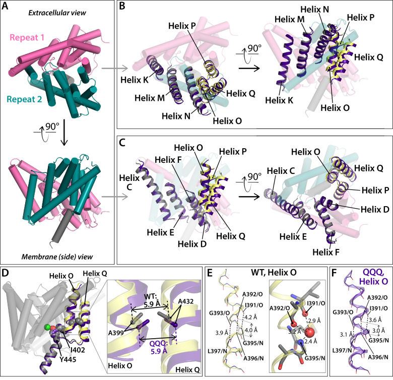 Figure 5—figure supplement 3.