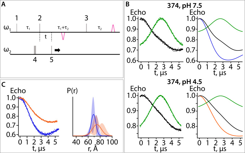 Figure 7—figure supplement 1.