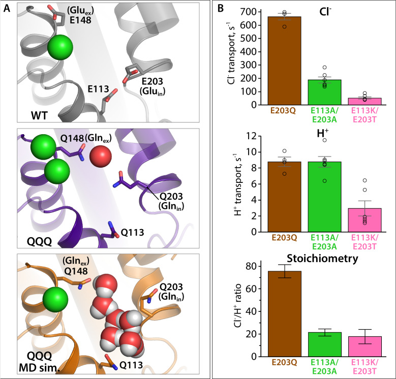 Figure 9—figure supplement 1.