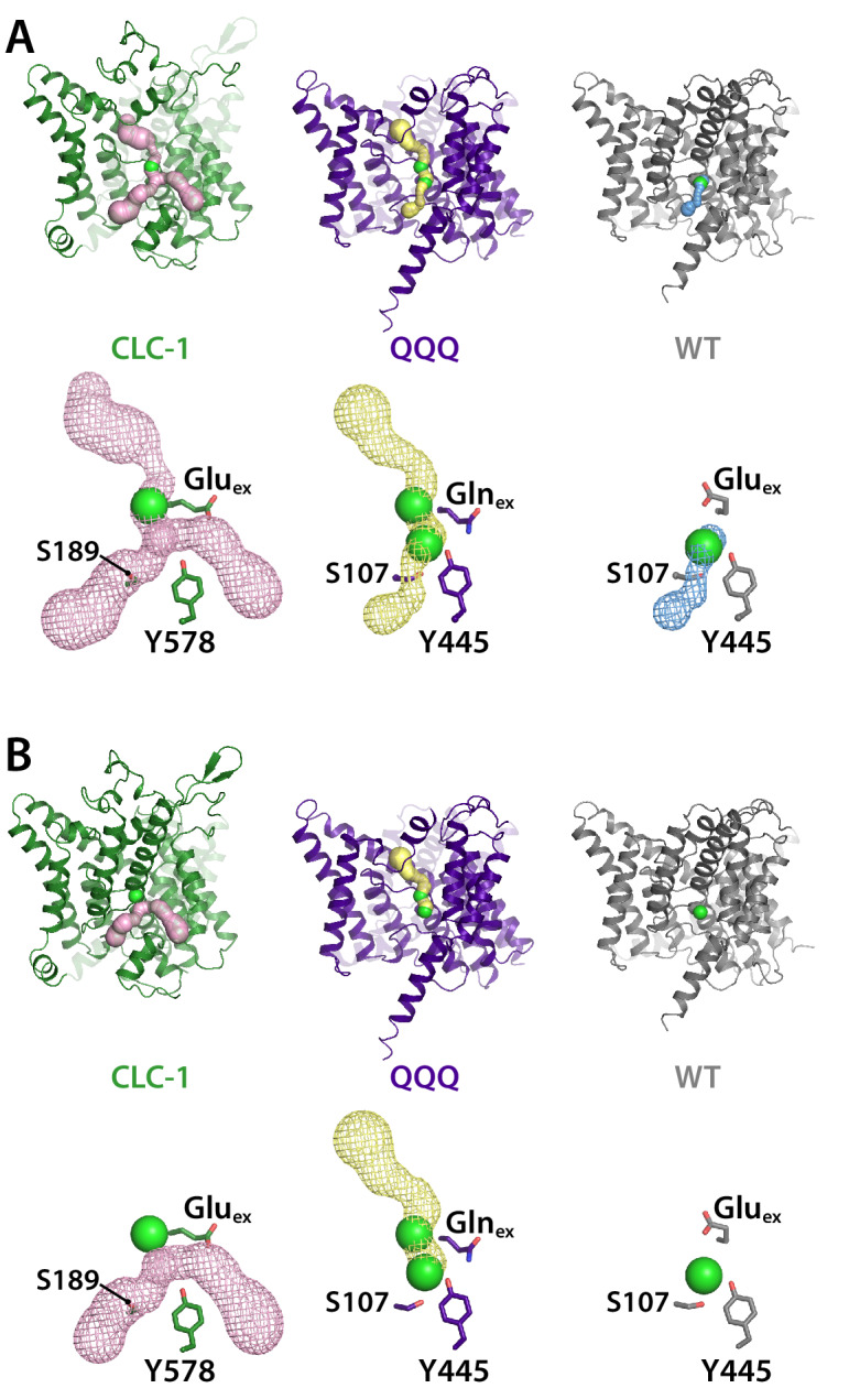 Figure 3—figure supplement 1.