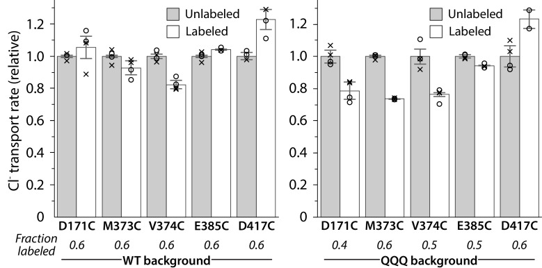 Figure 7—figure supplement 2.