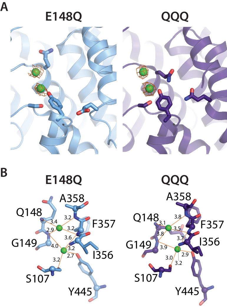 Figure 2—figure supplement 2.