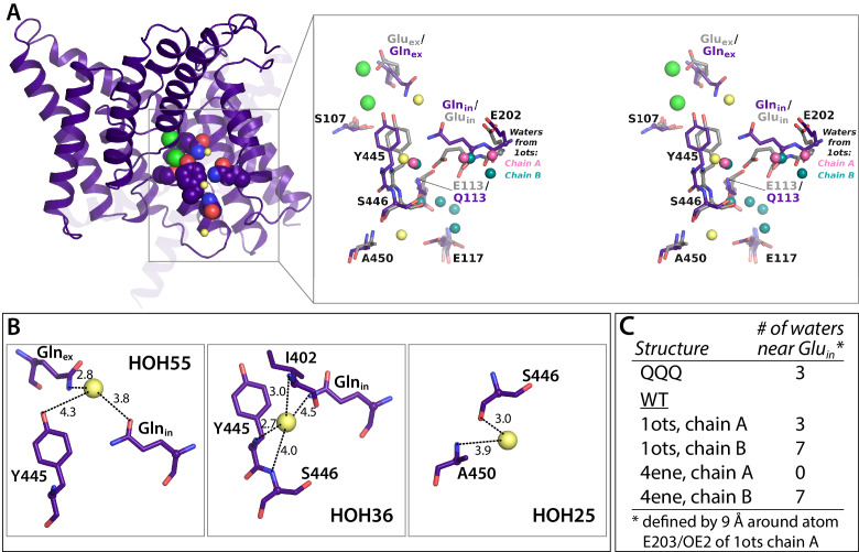 Figure 6—figure supplement 1.