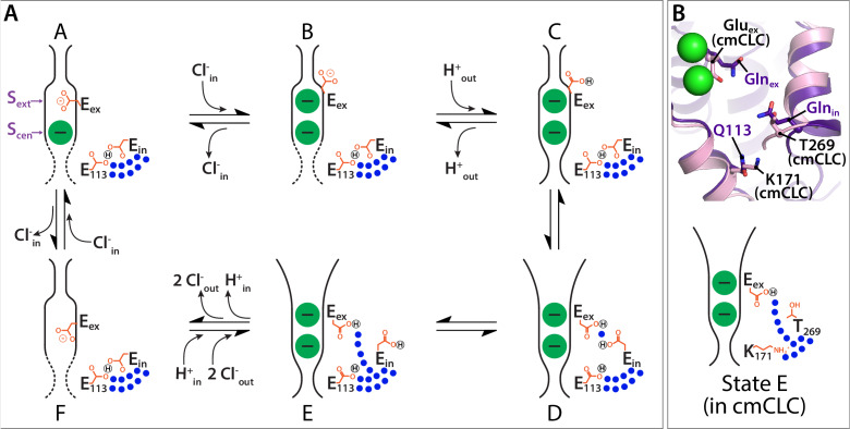 Figure 10.