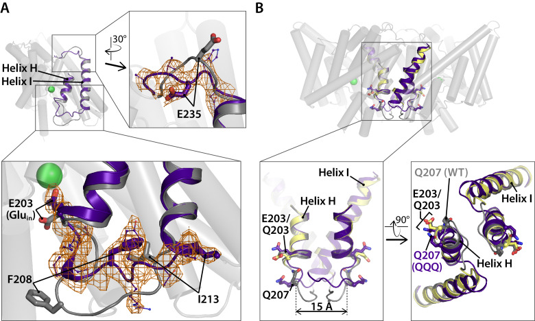 Figure 5—figure supplement 2.