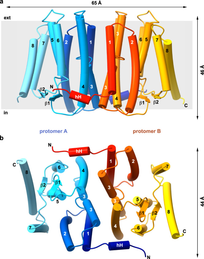 Fig. 2