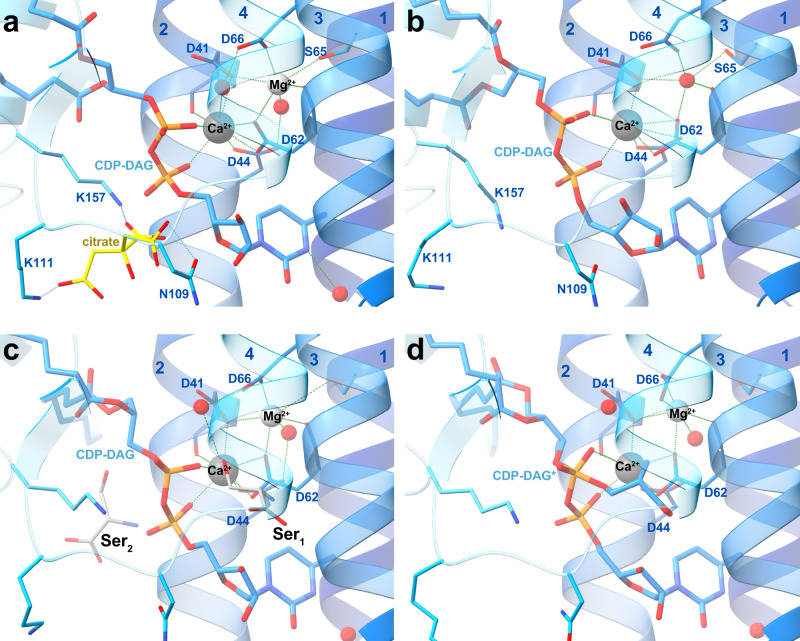 Fig. 4