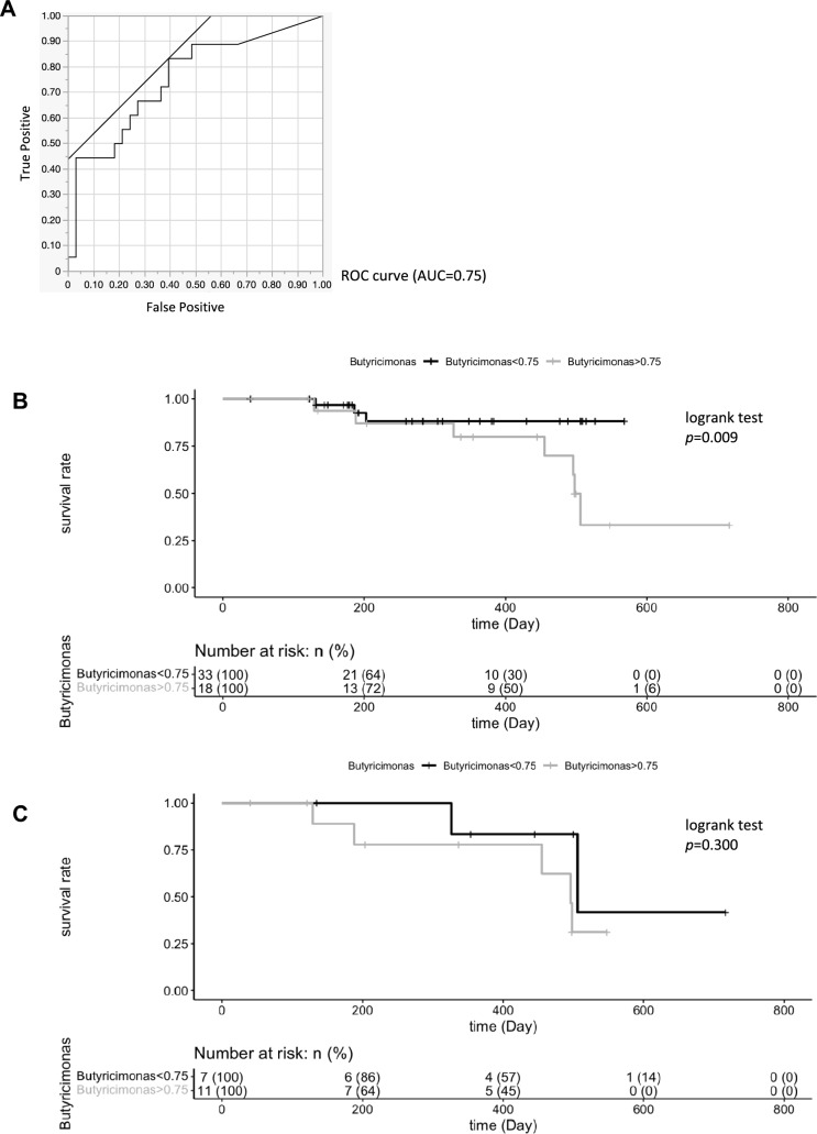 Fig. 6