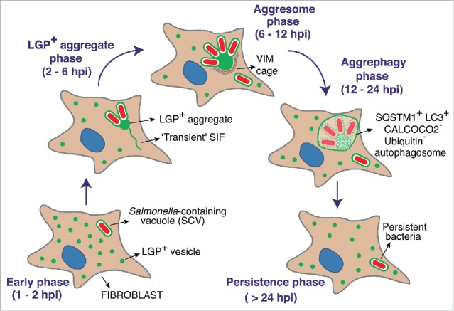 Figure 10.