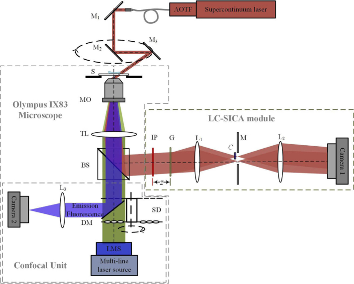 Fig. 1.