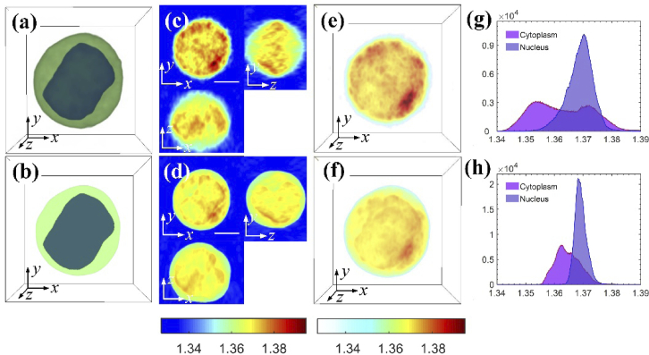 Fig. 7.