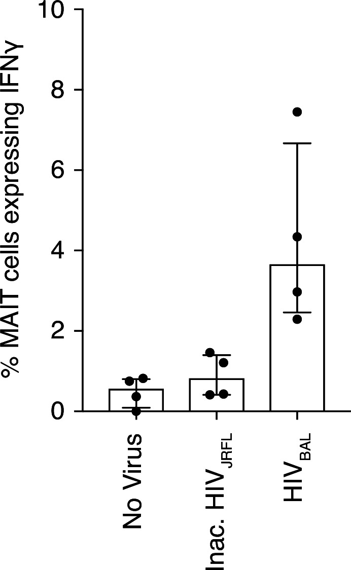 Figure 3—figure supplement 1.