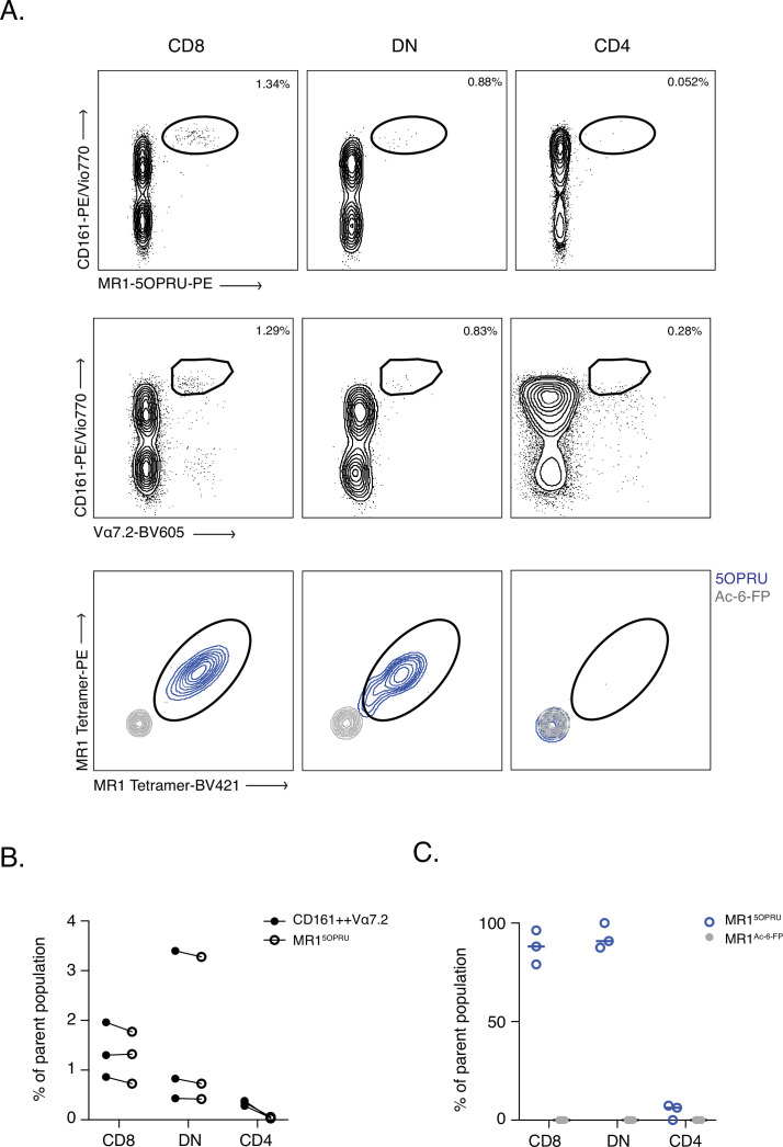 Figure 2—figure supplement 1.