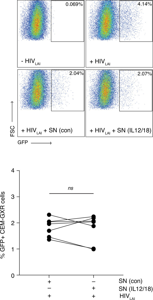 Figure 4—figure supplement 2.