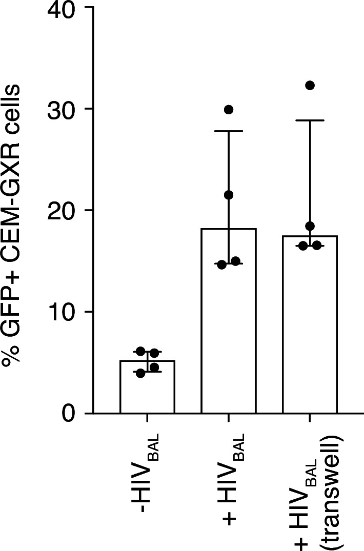 Figure 3—figure supplement 5.