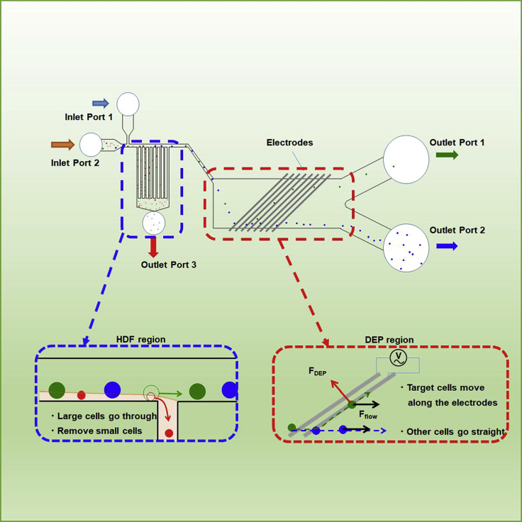 Figure 1