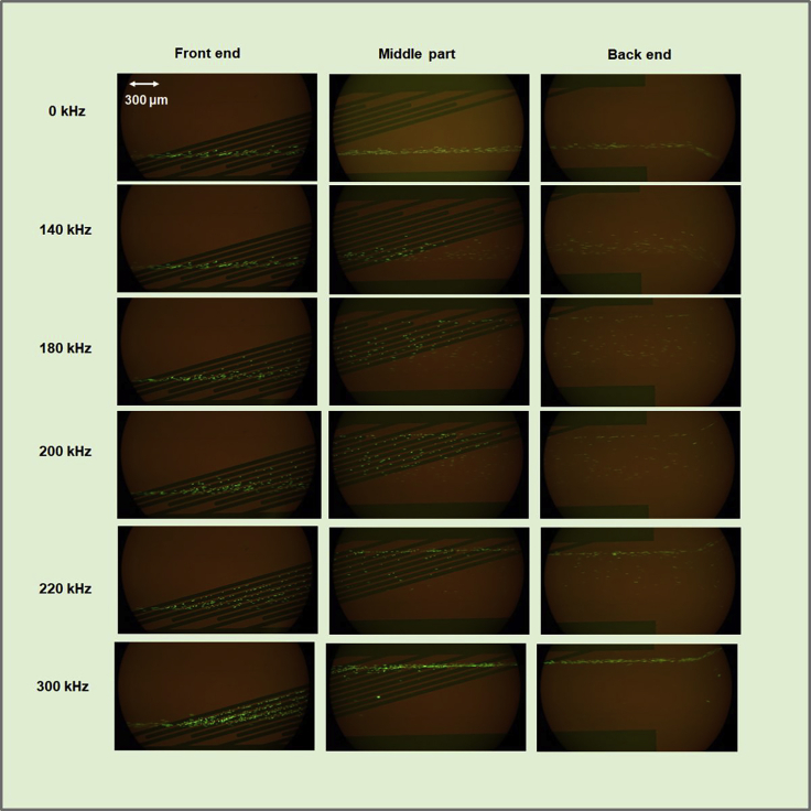 Figure 11