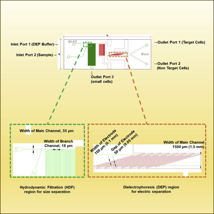 Figure 3