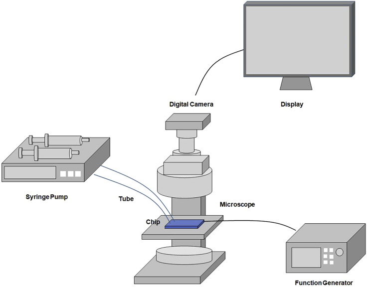 Figure 2