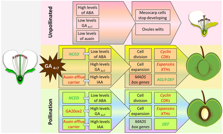 Fig. 3