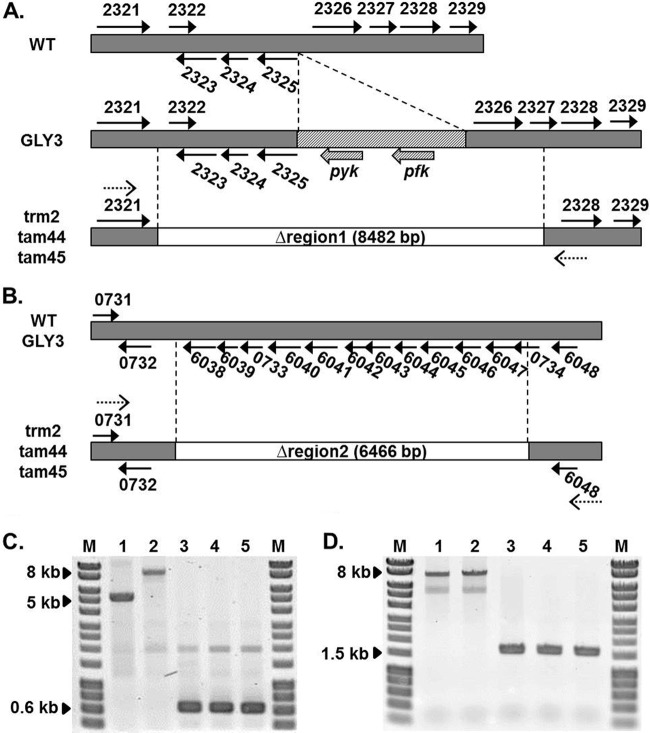 FIG 2