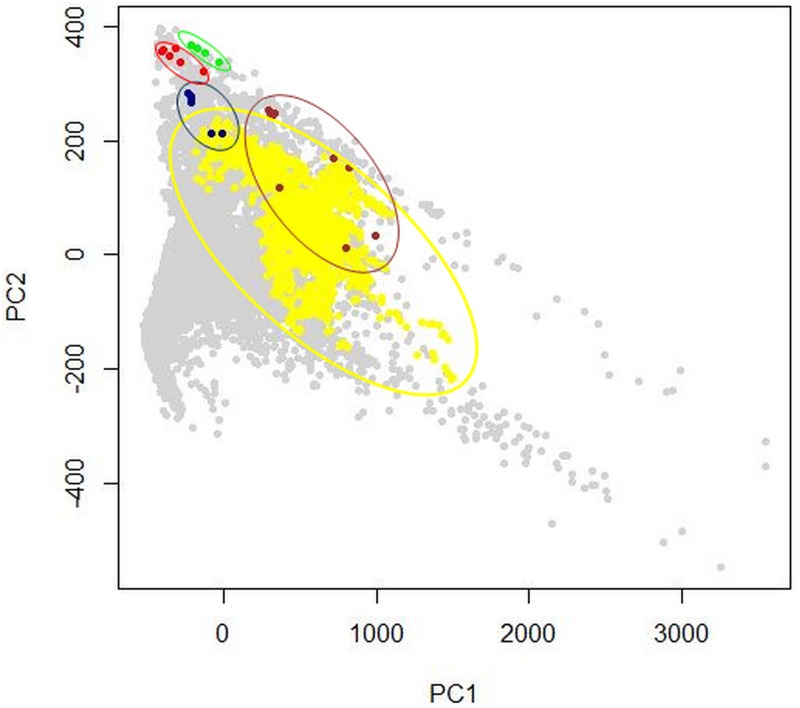 Fig 2