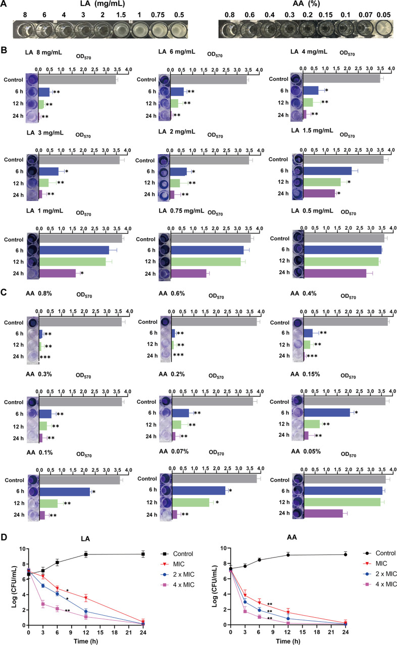 FIG 3