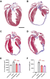 Figure 5