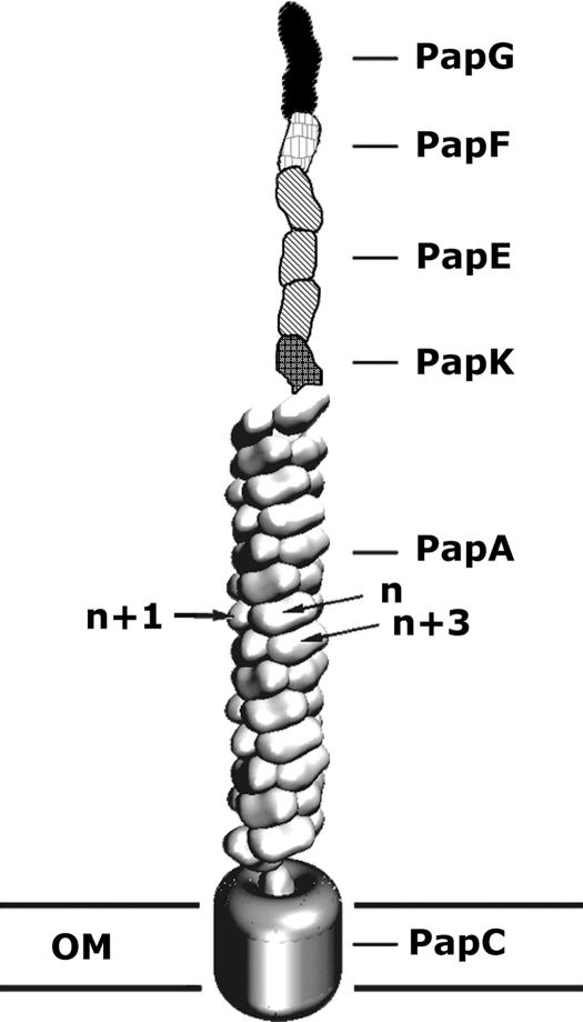 Fig. 1.